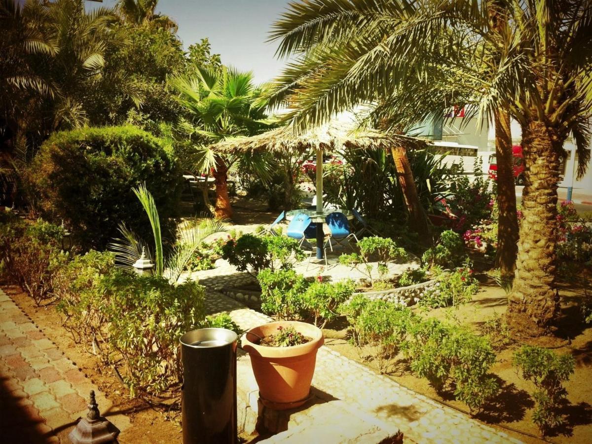 Arava Hostel Eilat Luaran gambar